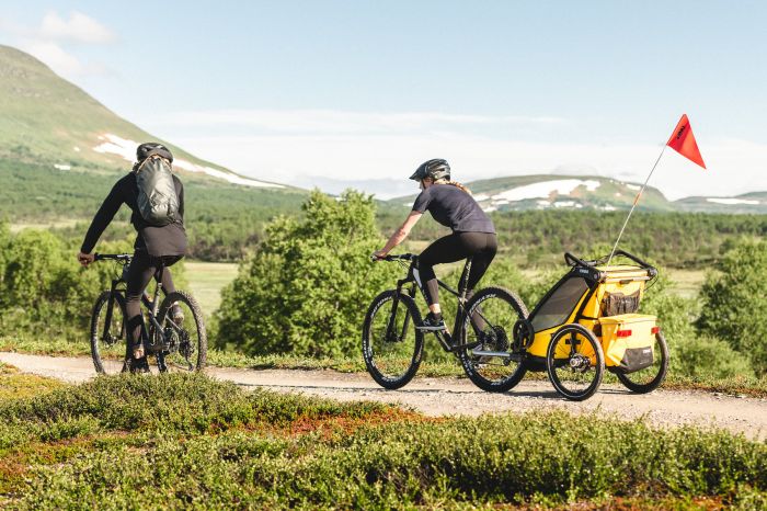 Náhled produktu - Thule Chariot Sport 2 Spectra Yellow