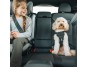 Thule Cappy - postroj do auta pro psa vel.L