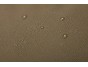 Thule Chasm S sportovní taška 30 L TDSD301 - Deep Khaki