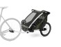 Thule Chariot Lite DOUBLE Vintage Green